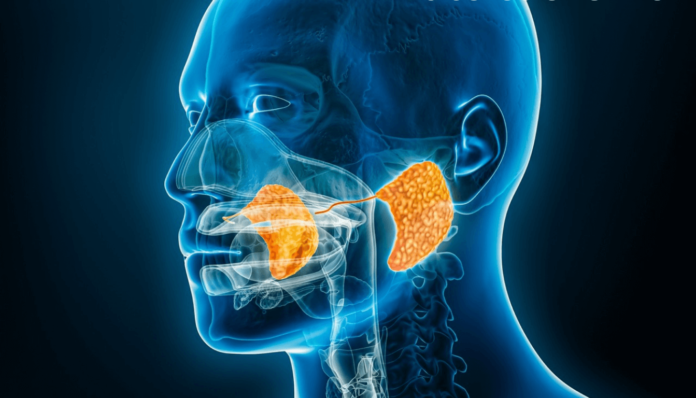How Long Does THC Stay in Saliva Glands How Long Does THC Stay in Saliva Glands